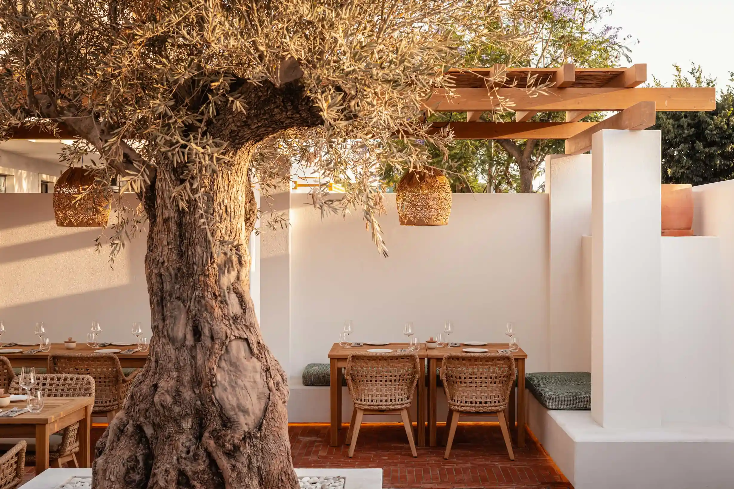 Ciro Restaurant - Mediterranean Fire Cooking